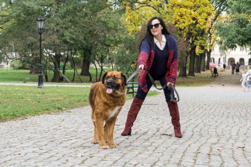 edytaandrzejewska.blog 5 spacer z psem