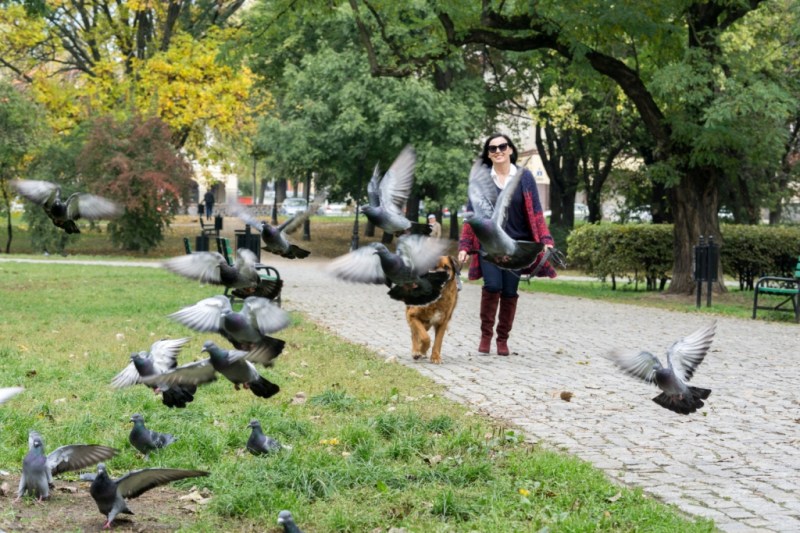 edytaandrzejewska.blog 8 spacer z psem