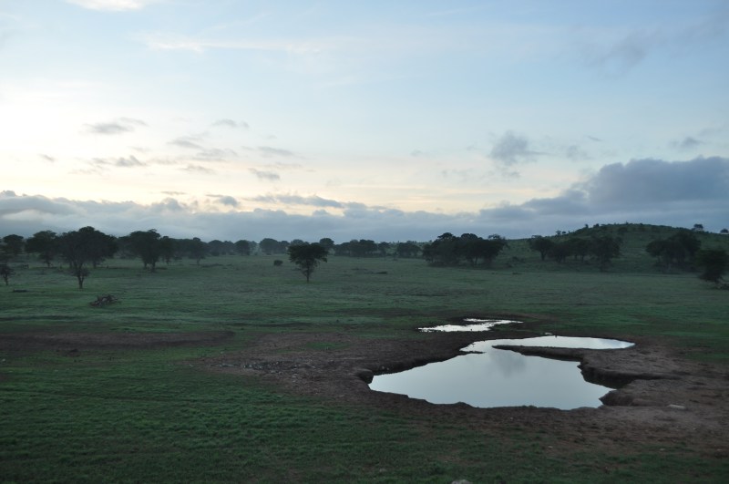 edytaandrzejewska.blog Kenia