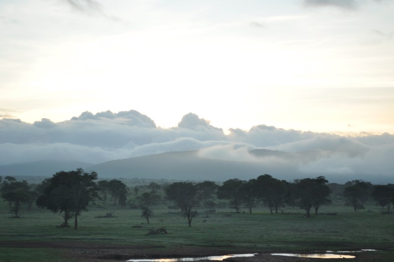 edytaandrzejewska.blog Kenia