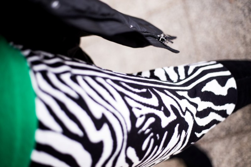 Zwierzęcy wzór - zebra 10