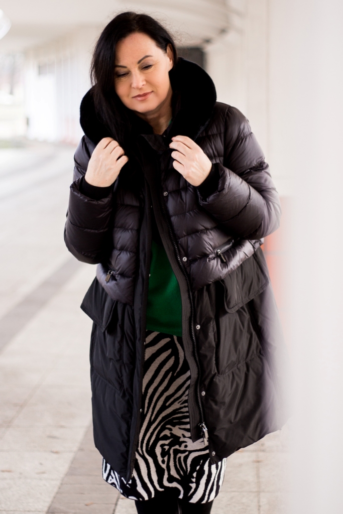 Zwierzęcy wzór-zebra