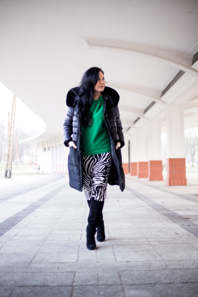 Zwierzęcy wzór - zebra 7